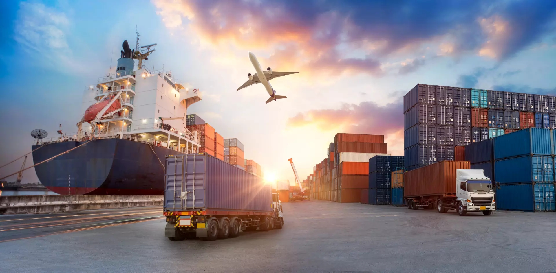 Searchable member directory for forwarders – find reliable partners globally with All-Forward’s search engine and Trust Score