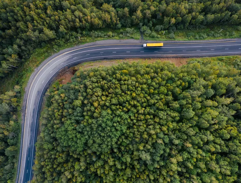 Eco-friendly freight transport through forested areas – green supply chain solutions